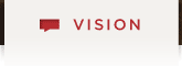 Vision